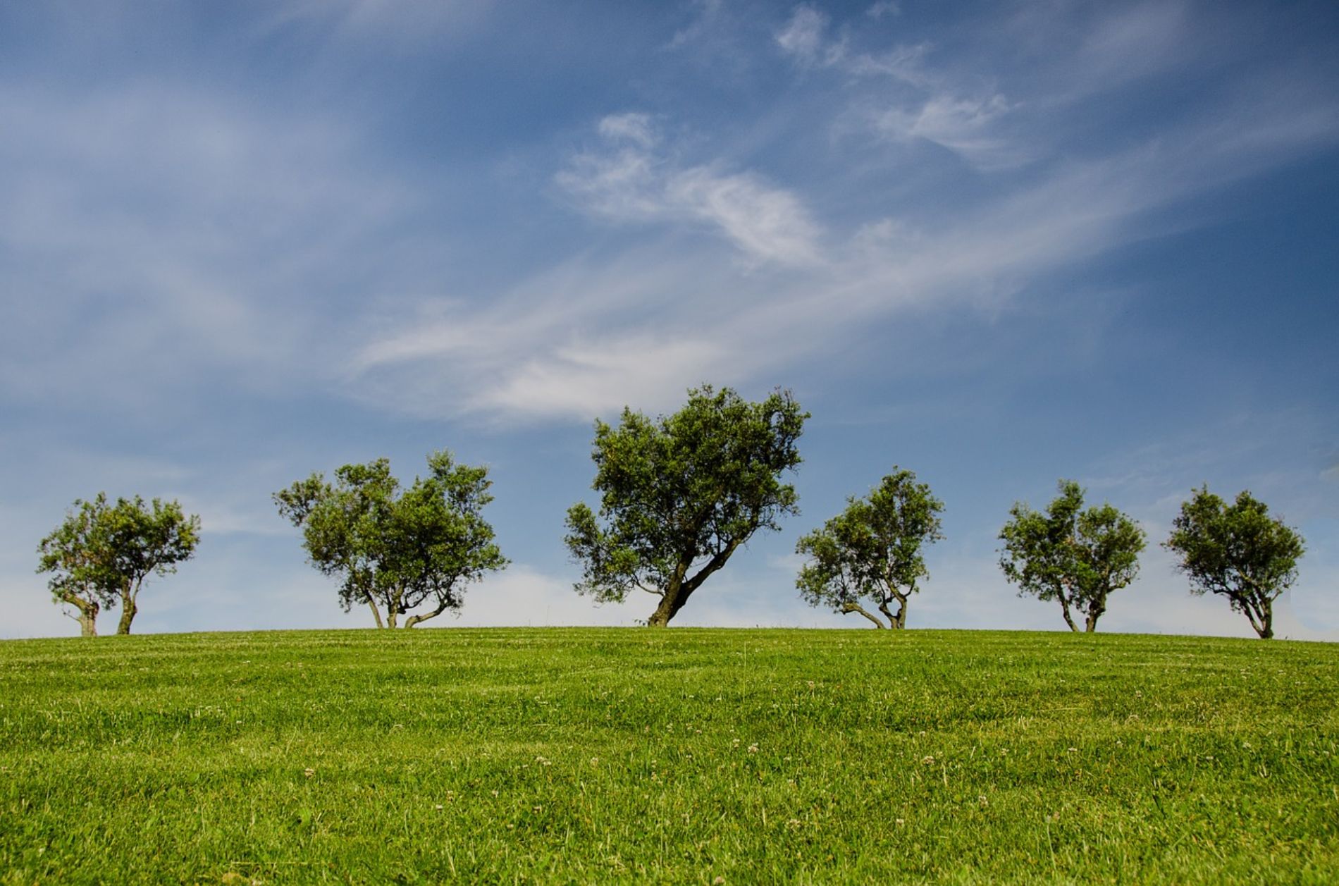 Colline Metallifere