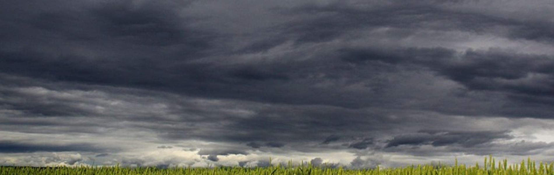 Previsioni meteo